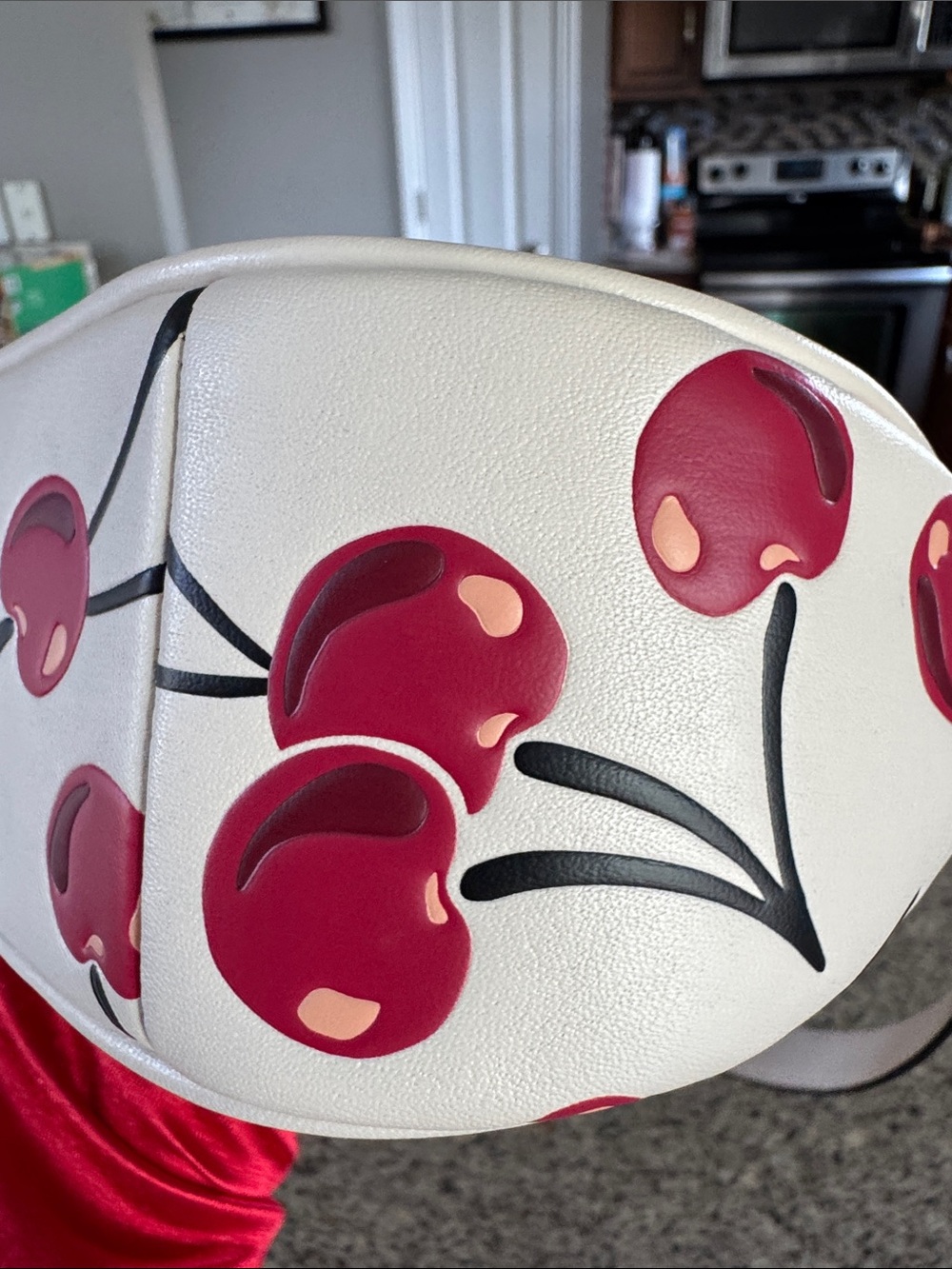 πCoachTeri Shoulder Bag With Cherry Print #CZ774π LIKE NEWπ - Picture 9 of 17